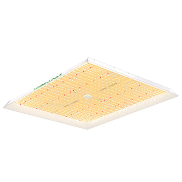 MARSHYDRO 2024 New TS3000 450W LED Grow Light for Indoor Plants
